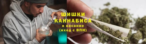 прущая мука Вяземский