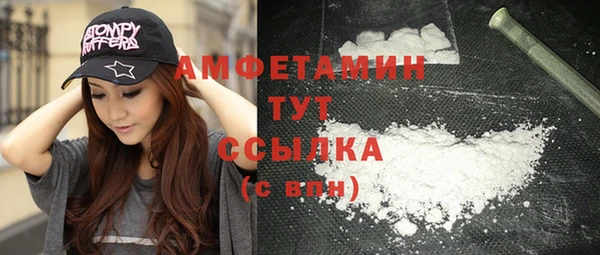 прущая мука Вяземский