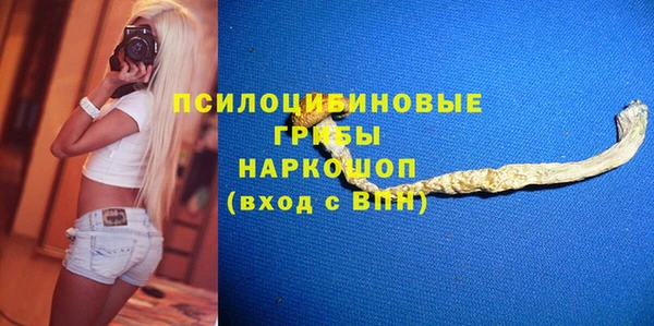 прущая мука Вяземский