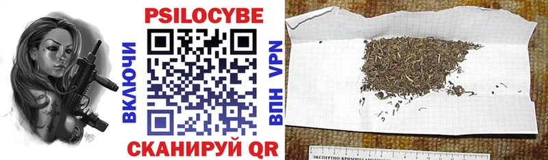 Псилоцибиновые грибы прущие грибы  Мытищи 