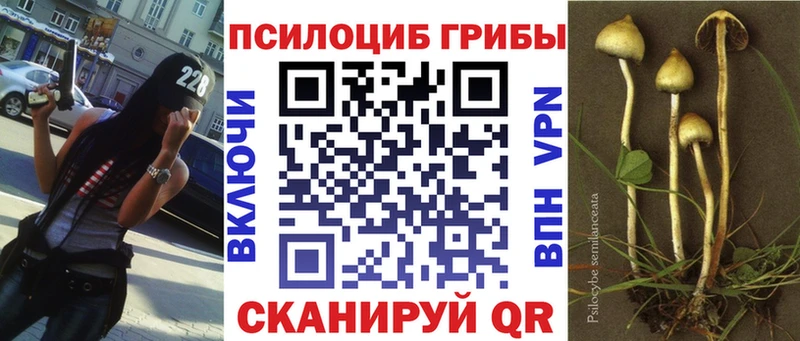 Галлюциногенные грибы ЛСД Мытищи